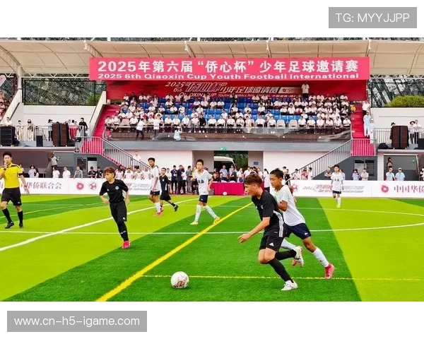 邵阳队足球奋勇拼搏再创辉煌谱写城市体育发展新篇章