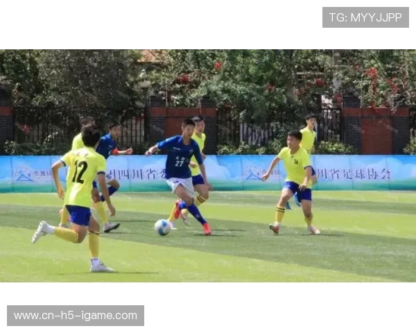 成都足球队防守战术分析与实战表现探讨