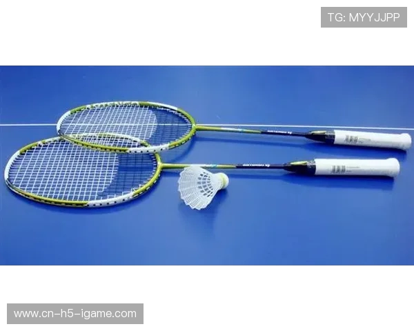 网球装备选购指南:必备训练器材推荐与使用技巧分享 网球装备选购指南:必备训练器材推荐与使用技巧分享