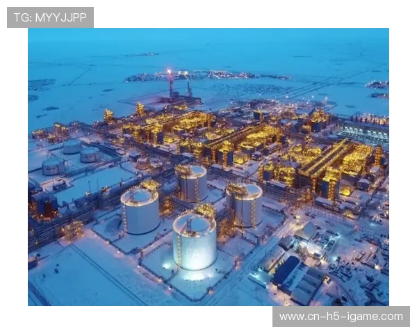 亚马尔地区的能源开发与国际合作前景分析及其对全球市场的影响