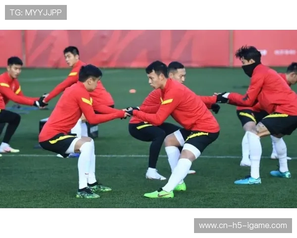 冰岛与乌克兰足球历史交锋回顾与分析之战绩与精彩瞬间